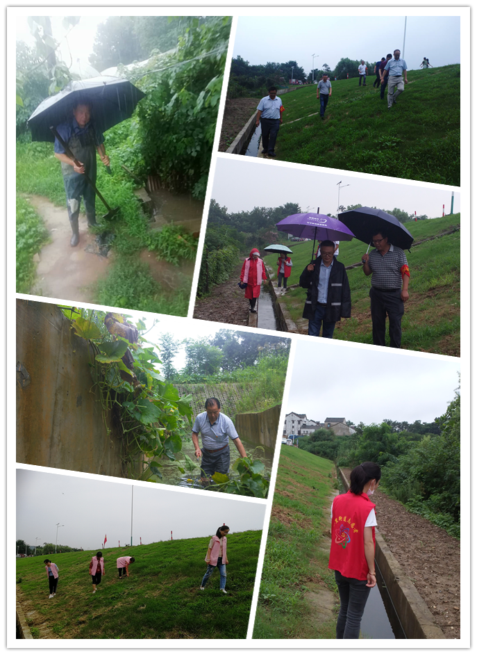  防汛抗洪丨荊劉村：同降雨拼速度，與汛情作斗爭