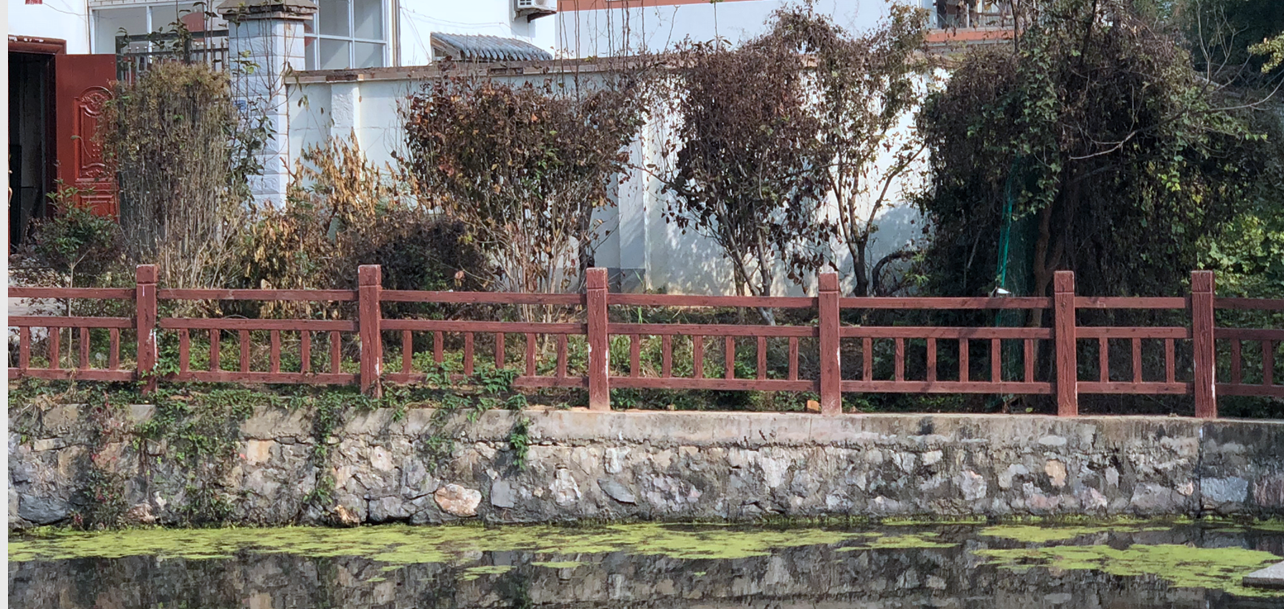 池塘邊的集體土地被人用來栽種果樹，還設(shè)置了柵欄。南報(bào)融媒體記者胥欣攝
